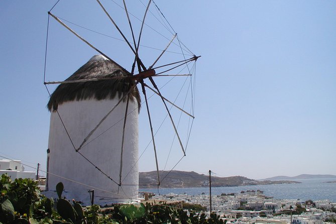 Shore Excursion Private - Port pickup and the low-stress start in Mykonos Town