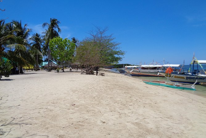 Shore excursion: Puerto Princesa Island Hopping Tour - Stop 2: Cowrie Island—more time, more beach, and lunch in the mix
