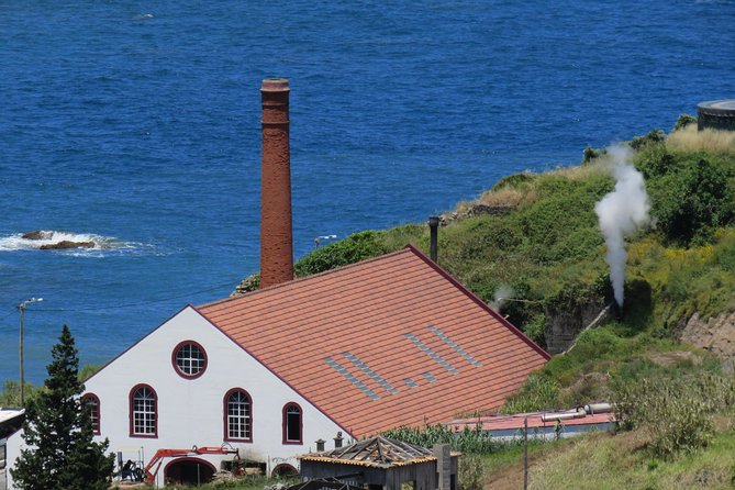 Shore Excursion - Santana & Peaks 4x4 tour - Santana Traditional Houses: Village Time on Madeira’s 3rd-Highest Peak