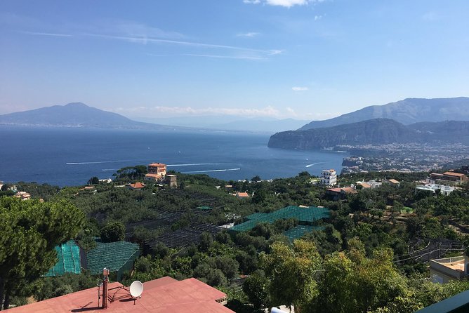 Shore Excursion Sorrento Positano Pompei - Private driver value: when the price feels fair