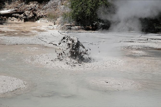 Shore excursion to Rotorua including Gondola and luge rides - Port of Tauranga pickup and private-group comfort