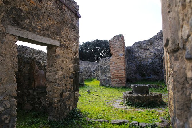 Shore Excursion Tour for Kids from Naples to Pompeii and Amalfi Coast - Private transportation: why it’s worth paying for with kids