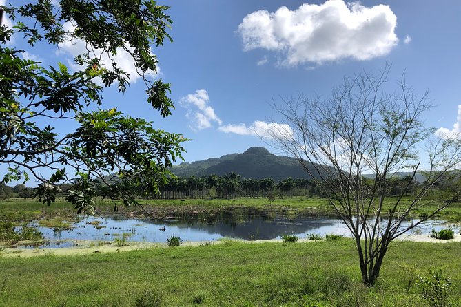 Shore Excursion: V.I.P. DayPass: ATV, Zip Lines, Horseback Riding & Lunch - Transfers and timing: how to plan a smooth, 5.5-hour shore day