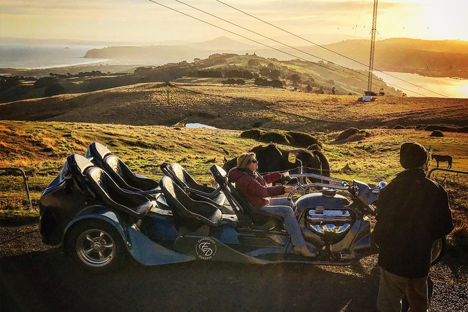 Shore Excursion: V8 Trike, Peninsula and City Tour - Why a V8 trike makes sense for a 1-hour Dunedin visit