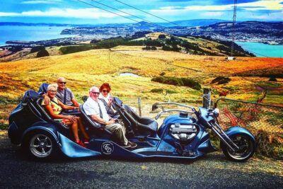 Shore Excursion: V8 Trike, Peninsula and City Tour - Starting at Dunedin Public Art Gallery: the meeting point that keeps things simple