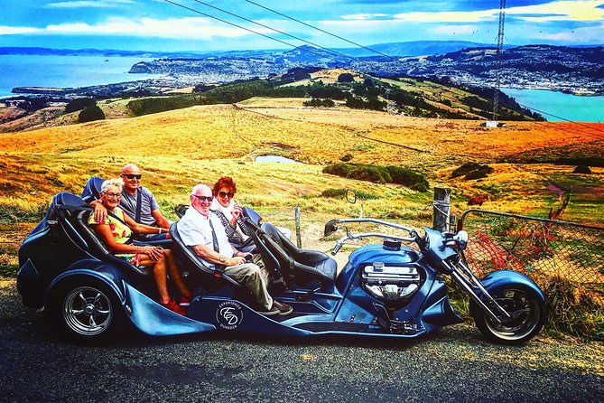 Shore Excursion: V8 Trike, Peninsula and City Tour - Starting at Dunedin Public Art Gallery: the meeting point that keeps things simple