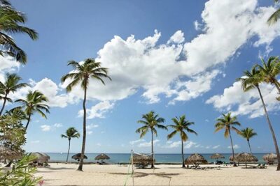 Shore Excursion: Viva Wyndham Resort For The Day With Unlimited Food & Drinks - Price and value: where the $136.44 makes sense