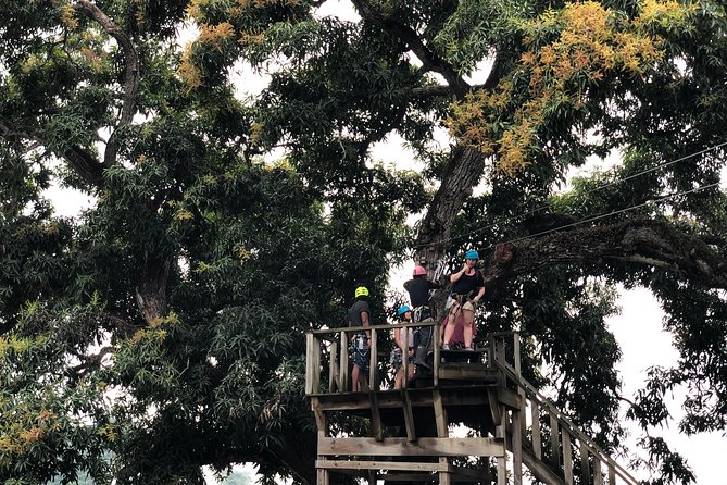 Shore Excursion: Zip Line Adventure - Value for $74.99: why this zipline feels worth it