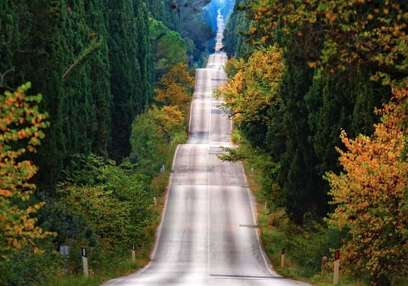 Shore Trip from La Spezia: Pisa,Lucca,lunch & tasting Winery - How the day flows from La Spezia to Pisa, Lucca, and Chianti