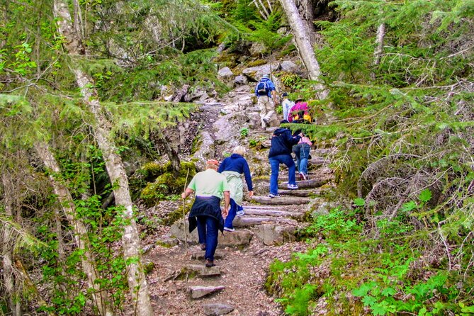 Skagway Shore Excursion Chilkoot Trail Hike and Float Tour - Hiking the first two miles: steep start, rocky footing, and real rainforest spotting
