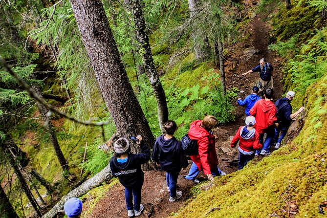 Skagway Shore Excursion Chilkoot Trail Hike and Float Tour - The Dyea road transfer: why that ride is part of the experience