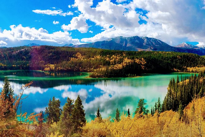 Skagway Shore Excursion: Full-Day Tour of the Yukon - Key Things I’d Plan Around