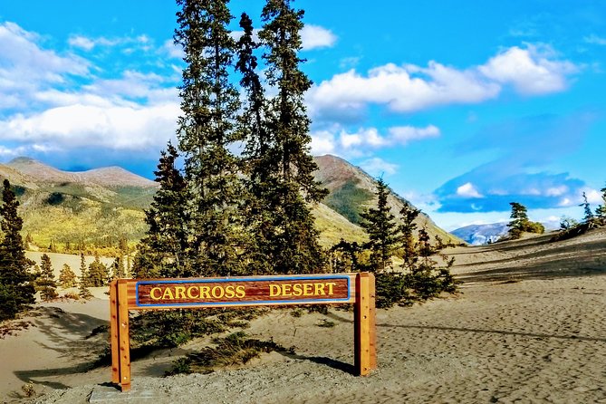 Skagway Shore Excursion: Full-Day Tour of the Yukon - Skagway to the Yukon: How the Day Flows