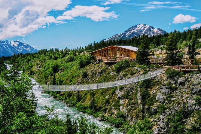 Skagway Shore Excursion: Half-Day Tour to the Yukon Border and Suspension Bridge - The Klondike Highway Drive: Waterfalls, Bridges, and Fast Photo Opportunities