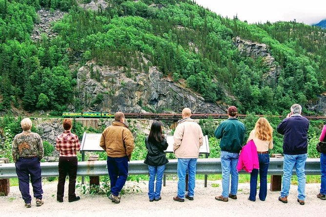Skagway Shore Excursion: Half-Day Tour to the Yukon Border and Suspension Bridge - Wildlife Watch on This Route: Moose, Bears, Goats, and Birds