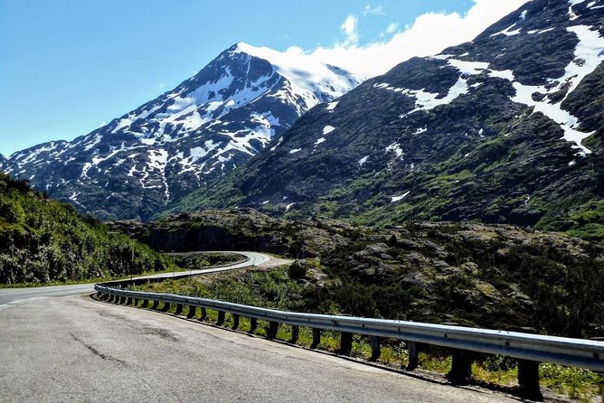 Skagway Shore Excursion: Half-Day Tour to the Yukon Border and Suspension Bridge - The Guide and the Minibus Feel: Small Group, Frequent Stops, Less Waiting