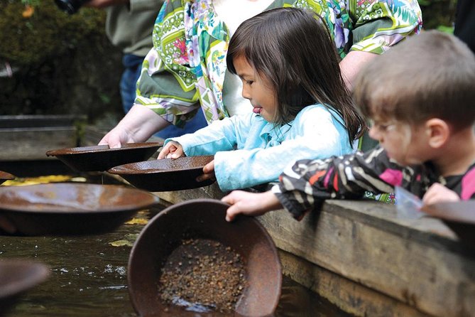 Skagway Shore Excursion: Liarsville Gold Rush Camp, Gold Panning and Salmon Bake Combo - Who This Tour Suits Best (and Who Might Want Something Else)