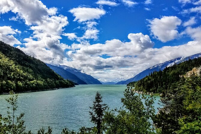 Skagway Shore Excursion: Scenic River Float Tour - Price and value: what $102.32 really buys you