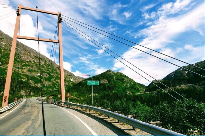 Skagway Shore Excursion: White Pass Summit and Skagway City Tour - Key highlights worth your attention