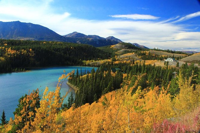 Skagway Shore Excursion: Yukon Discovery Tour - Key Points at a Glance
