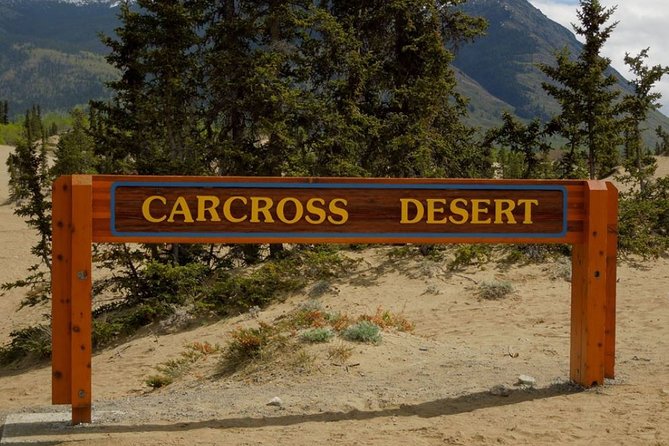 Skagway Shore Excursion: Yukon Discovery Tour - Why This 6-Hour Yukon Drive Fits a Cruise Day
