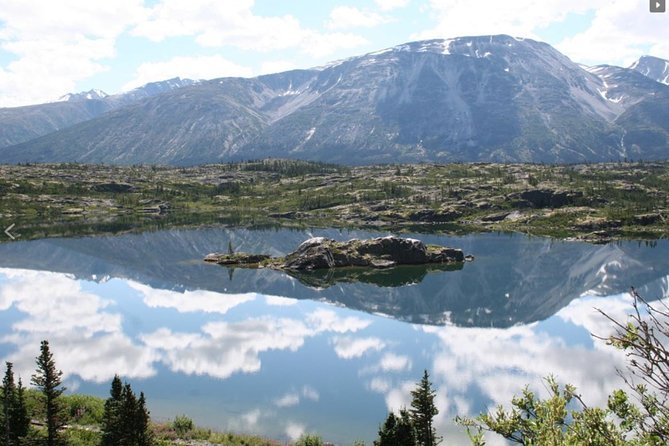 Skagway Shore Excursion: Yukon Dog Sledding and Sightseeing Tour - Lunch in the middle: included, with a vegetarian option