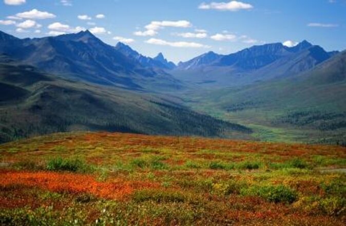 Skagway Shore Excursion: Yukon Dog Sledding and Sightseeing Tour - The human part: your driver-guide does a lot of the heavy lifting