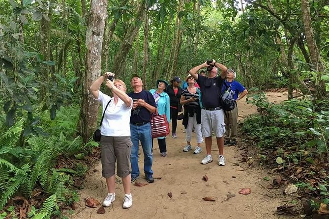 Sloths Lovers Tour. Puerto Limon Shore Excursion - Tortuguero Canals by boat: where the critters feel closer