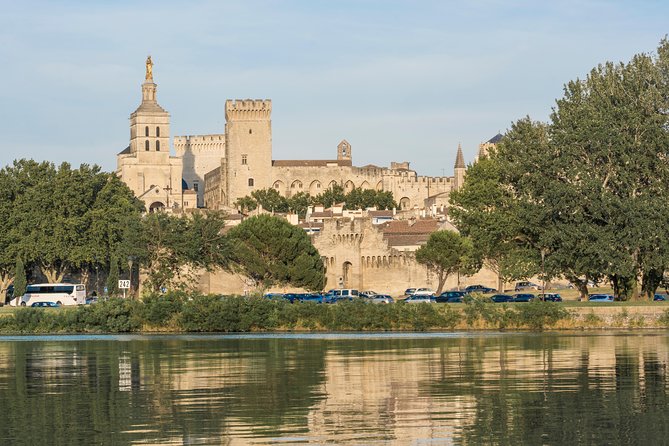 Small Group Marseille Shore Excursion : Avignon & Chateauneuf du Pape Wine Tour - Châteauneuf-du-Pape wine tasting: what a 1-hour cellar stop gives you