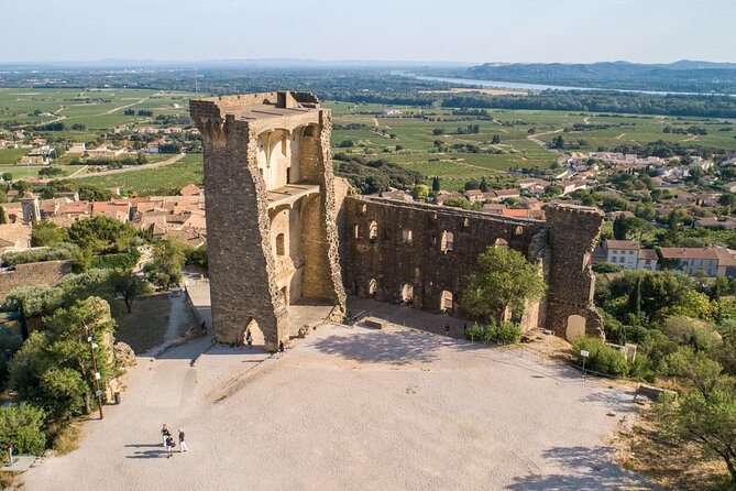 Small Group Marseille Shore Excursion : Avignon & Chateauneuf du Pape Wine Tour - Timing reality: how the day stays around 7 hours