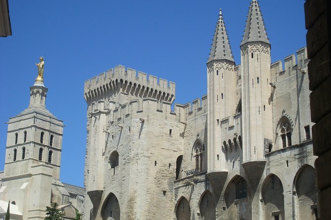 Small Group Marseille Shore Excursion : Avignon & Chateauneuf du Pape Wine Tour - Pont Saint-Bénézet photo break: a fast moment you should plan for