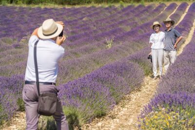 Small Group Marseille Shore Excursion: Lavender Tour - Plateau de Valensole Photo Time: Your Best Lavender Window