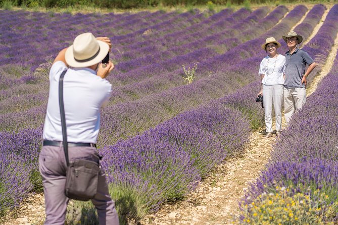 Small Group Marseille Shore Excursion: Lavender Tour - Plateau de Valensole Photo Time: Your Best Lavender Window