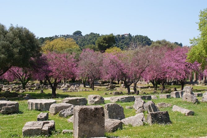 Small Group Shore Excursion at Ancient Olympia from katakolo Port - Olympia Archaeological Museum (about 1 hour): the artifacts that turn ruins into meaning