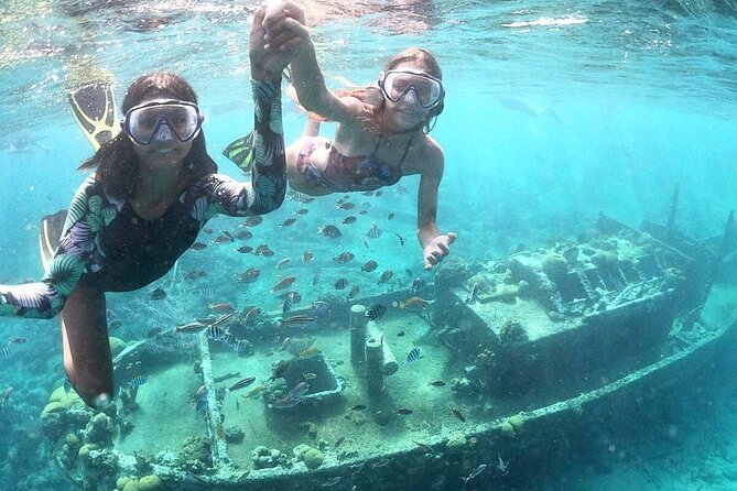 Snorkel Shore Trip with Scubaçao "East Point" - Key reasons to go