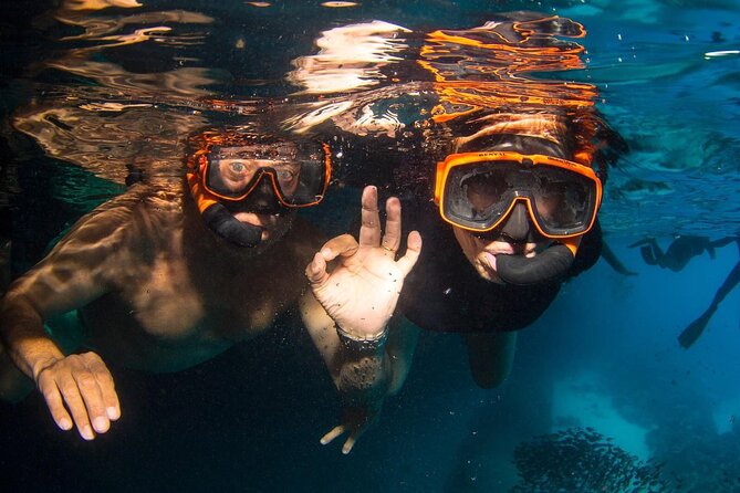 Snorkel Shore Trip with Scubaçao "East Point" - Nijmegenstraat start: how pickup and timing really work
