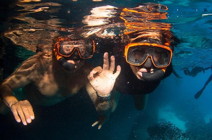 Snorkel Shore Trip with Scubaçao "East Point" - Directors Bay: coral, drop-offs, and a story with context