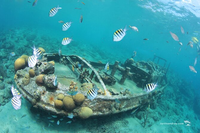 Snorkel Shore Trip with Scubaçao "East Point" - Fortress Beekenburg and Spanish Water: the land part is not an afterthought