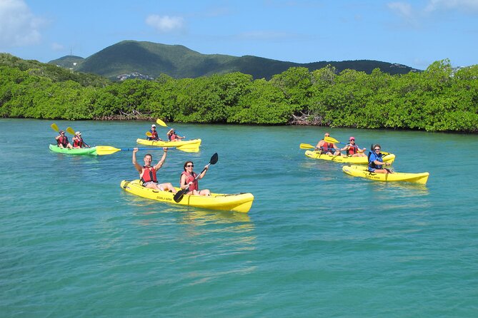 St Thomas Shore Excursion: Mangrove Lagoon Kayak and Snorkel Tour - Key points before you go