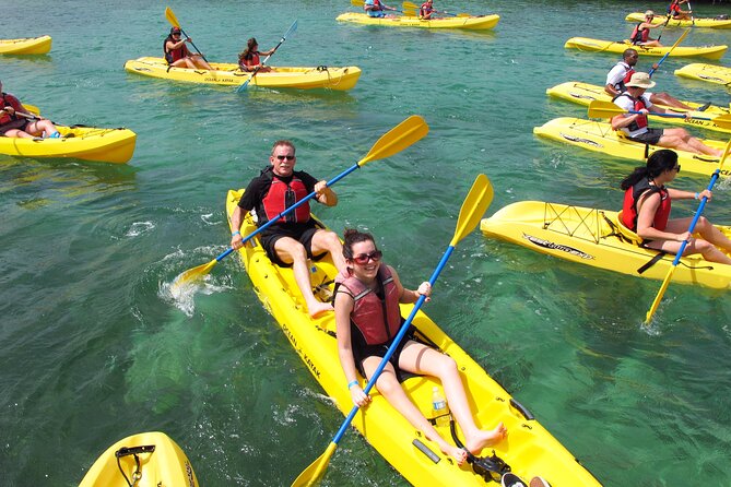 St Thomas Shore Excursion: Mangrove Lagoon Kayak and Snorkel Tour - Price and time: $119 for 2.5 hours that matter on a cruise