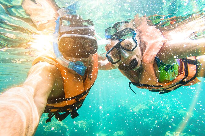 St Thomas Shore Excursion: Mangrove Lagoon Kayak and Snorkel Tour - Kayaking through serpentine mangrove channels: the calm part people underestimate