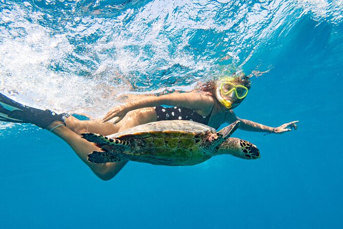 St Thomas Shore Excursion: Mangrove Lagoon Kayak and Snorkel Tour - What to bring (and what to expect from the gear)