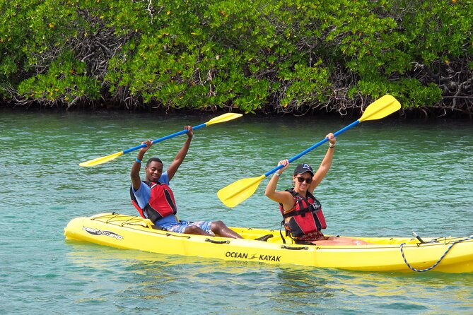 St Thomas Shore Excursion: Mangrove Lagoon Kayak and Snorkel Tour - Who this tour is best for