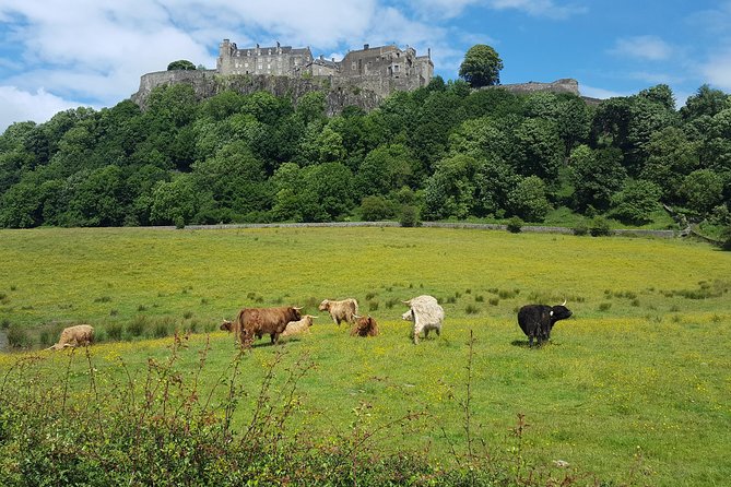 Stirling Castle, Trossachs and Loch Lomond Shore Excursion - The Trossachs Woollen Mill stop and the real meaning of the hairy coos
