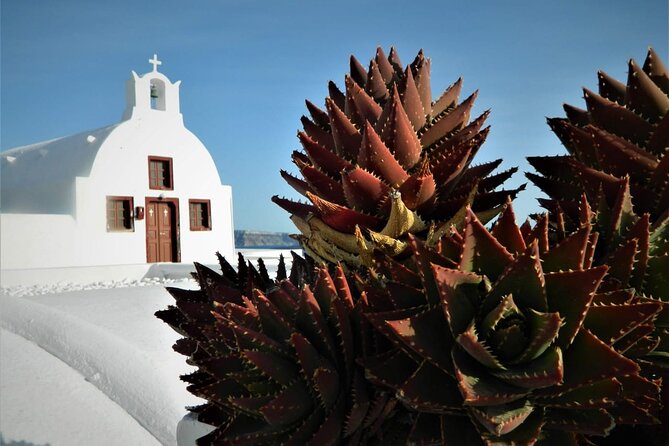 Stress-Free Santorini Shore Excursion: Private Highlights Tour - Why a private Santorini day beats DIY on cruise time