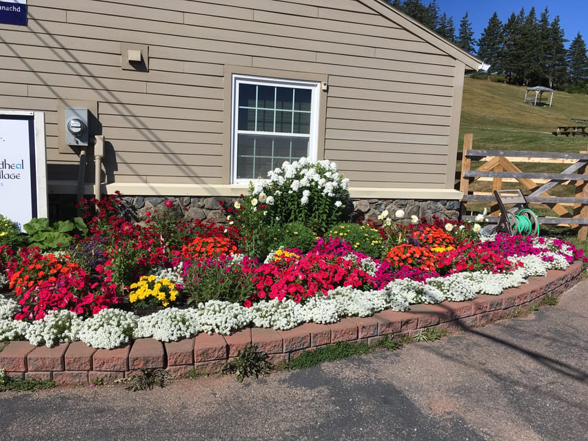 Sydney: Highland Village & Bell Museum Cruise Excursion - Bras d’Or Views and Fair Isle Photos on the Return Trip