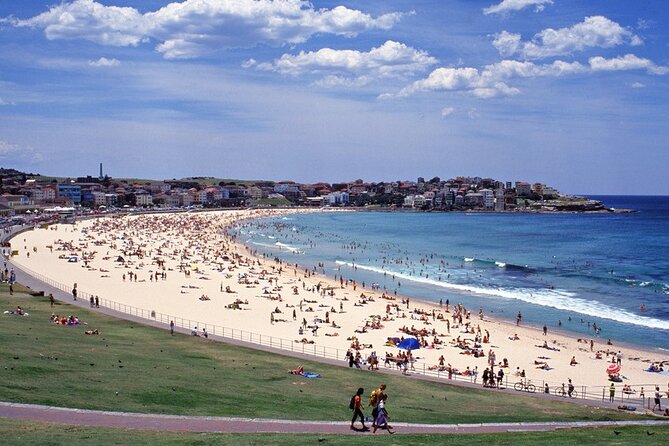 Sydney Shore Excursion: Half-Day Sydney City Highlights with Bondi Beach and Watsons Bay - Price and logistics: is $100.41 worth it?