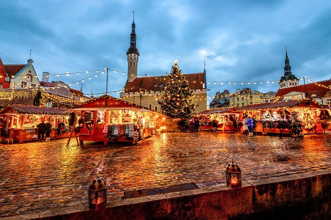 Tallinn Shore Excursion: Tallinn Sightseeing Tour by Coach and Foot - Coach comfort and port pickup: the main idea