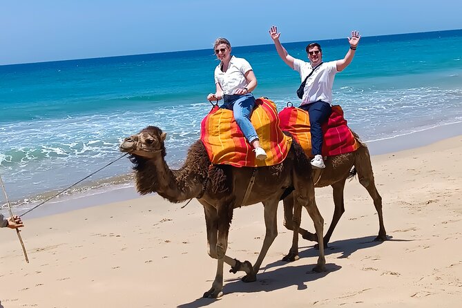tangier private shore excursion - Price and Value: Is $116.86 per Person Fair?