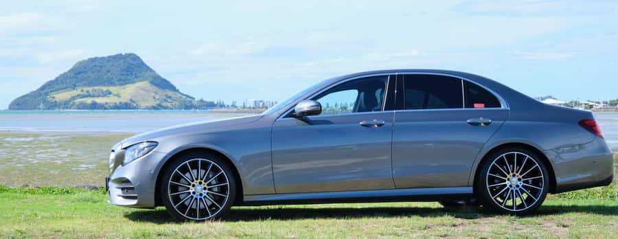 Tauranga: Kiwifruit Destination and Sights Shore Excursion - From the Port Gate to Mt Maunganui: the easiest start in Tauranga